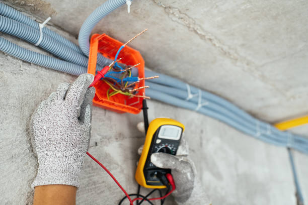 Best Electric Panel Repair  in Brazoria, TX